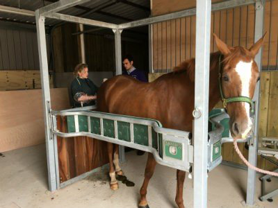 Stables, Stocks & Paddocks