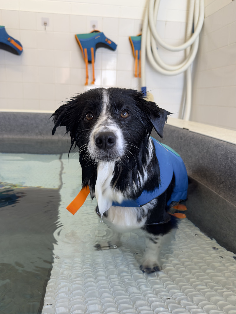 Stormy in pool